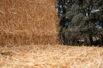 Straw bales stacked on the farm for animal feed
