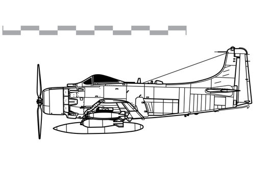 Douglas A-1H Skyraider. Vector drawing of attack aircraft. Side view. Image for illustration and infographics.