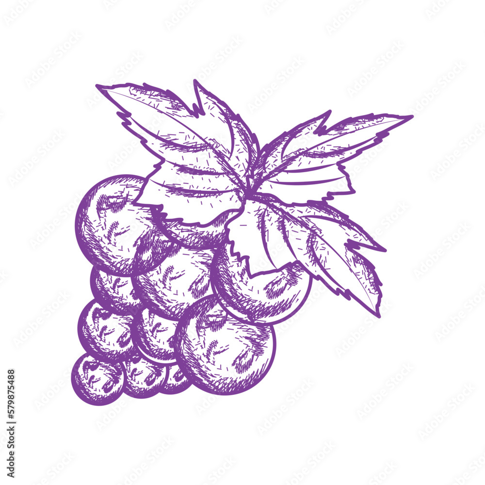 Poster grapes fruit food