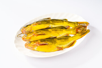 Fresh gaga fish on a simple background