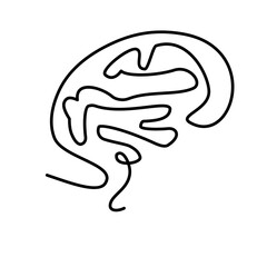 abstract line art of human organs