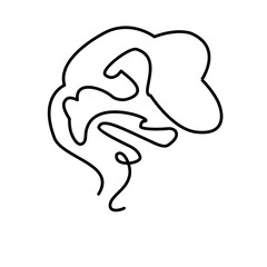 abstract line art of human organs