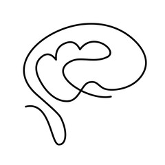 abstract line art of human organs