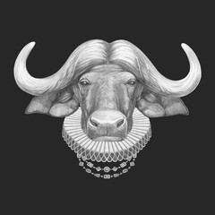 Portrat of Buffalo with Elizabethan Collar. Hand-drawn illustration