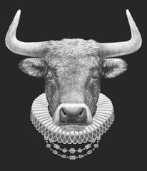 Naklejka premium Portrat of Bull with Elizabethan Collar. Hand-drawn illustration
