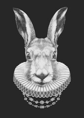 Portrat of Hare with Elizabethan Collar. Hand-drawn illustration