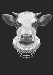 Portrat of Cow with Elizabethan Collar. Hand-drawn illustration