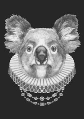 Portrat of Koala with Elizabethan Collar. Hand-drawn illustration