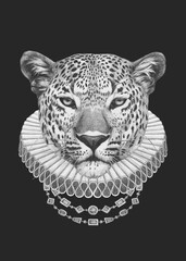 Portrat of Leopard with Elizabethan Collar. Hand-drawn illustration