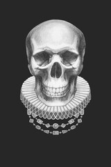 Skull with Elizabethan Collar. Hand-drawn illustration