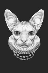 Portrat of Sphynx Cat with Elizabethan Collar. Hand-drawn illustration