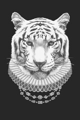 Portrat of Tiger with Elizabethan Collar. Hand-drawn illustration