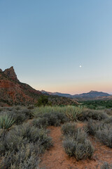 Zion national park at sunrise