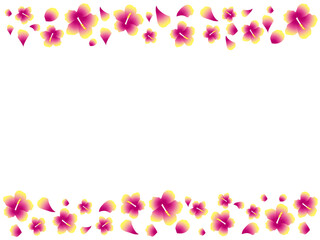 ハイビスカス帯F1-7