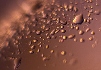 drops of water on glass
