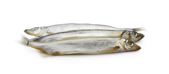Raw capelin fish isolated on white background      