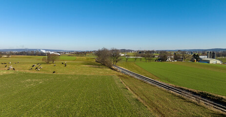 A Drone View of Cows and Farmlands With a Single RR Track and a Steam Train Approaching Blowing Smoke and Steam on a Winter Day