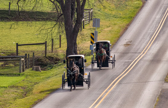 A View of Two Amish Horse and Buggies Traveling Down a Countryside Road Thru Farmlands on a Sunny December Day