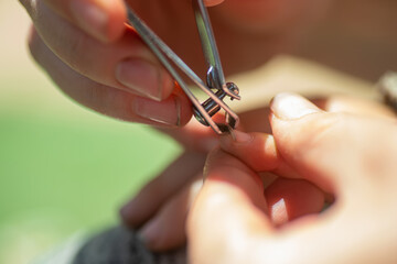 Ugly the child's dirty nails. Mom cuts off the baby's long nails with nail tongs.