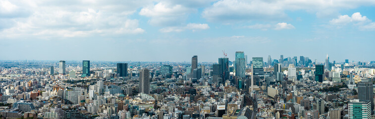 Fototapeta premium 東京のパノラマ風景