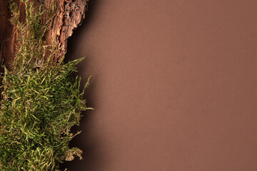 Tree bark piece with moss on brown background, top view. Space for text