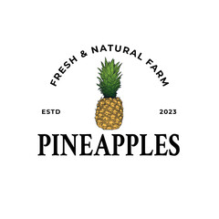 vintage pineapple hand drawn logo