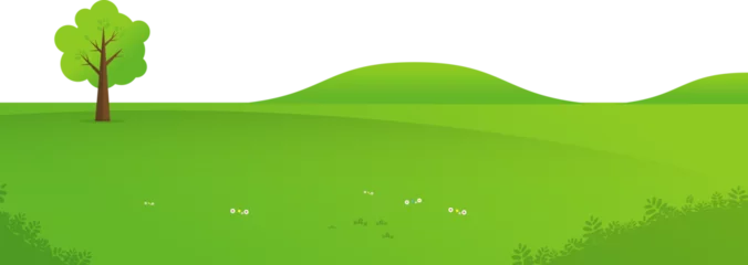 Crédence de cuisine en verre imprimé Couleur pistache Forest trees landscape illustration background ecology concept. cartoon nature landscape, background with soil, green trees and cloudy sky. 