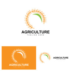 Fototapeta premium Rice Logo, Agriculture Design, Vector Wheat Rice Icon Template Illustration