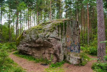 Huge boulders stones covered with moss in the pine forest, Park Mon Repos, Vyborg, Russia