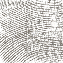 Texture of a cracked old wooden log end