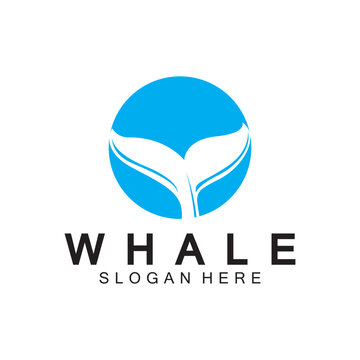  whale tail logo vector illustration design. Whale tail graphic icon
