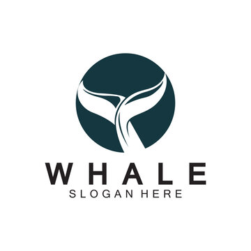  whale tail logo vector illustration design. Whale tail graphic icon