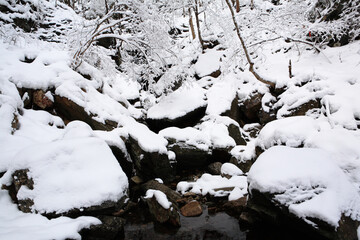 the valley of the winter mountain