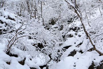 the valley of the winter mountain