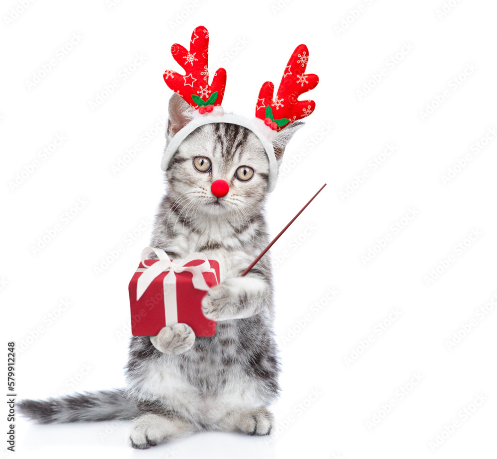 Poster funny kitten dressed like santa claus reindeer rudolf holds gift box and points away on empty space.