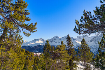 Next Arosa Landscape