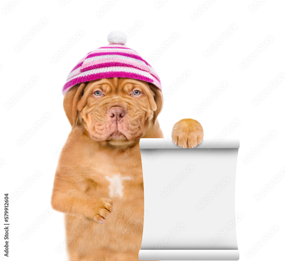 Poster unhappy frozen puppy wearing a warm winter hat with pompon shows empty list. isolated on white backg
