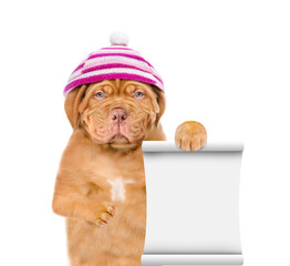 Unhappy frozen puppy wearing a warm winter hat with pompon shows empty list. isolated on white background