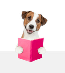 Smart Jack russel terrier puppy holding open book and looking above empty white banner. isolated on white background