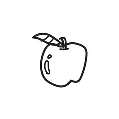 Education doodles hand drawn