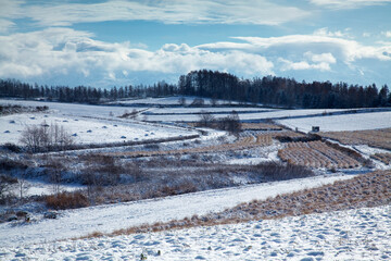 初雪の朝とアスパラの枯れた畑（美瑛）