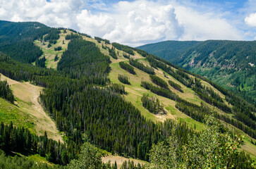 Fototapeta na wymiar Beaver Creek ski trails during the summer in Avon, CO, USA.