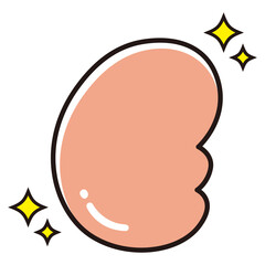 腎臓のイラスト