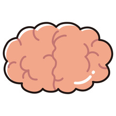 健康な脳のイラスト