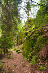 Rocks cliffs covered with moss among trees in the forest, Park Mon Repos, Vyborg, Russia