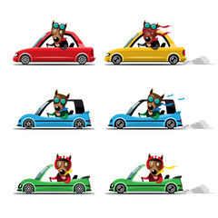 Animal driver, pets vehicle and dog happy in car.