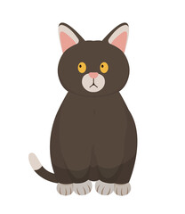 cartoon cat. pet characters illustration