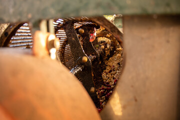 A closeup of a coffee pulping machine