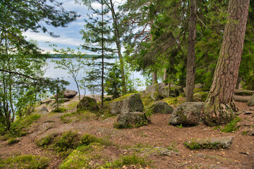 Fototapeta na wymiar Huge boulders stones in pine forest near fresh blue lake, Park Mon Repos, Vyborg, Russia