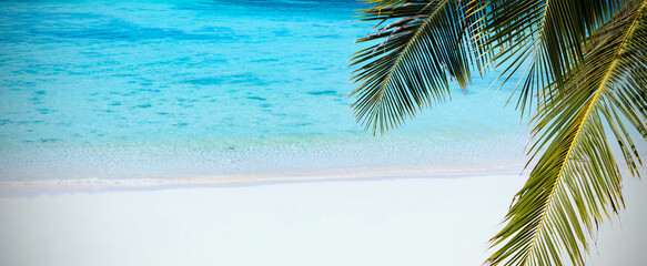 The holiday of Summer  holiday  with palm trees as white sand beach  background